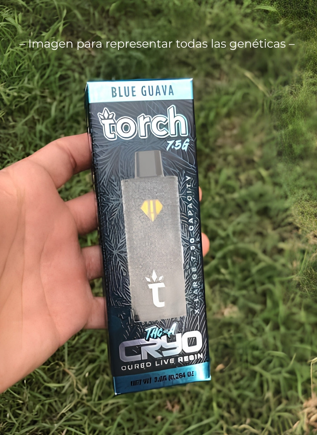 Torch Cryo 7.5ml - Banana Haze | Concentración y Risas