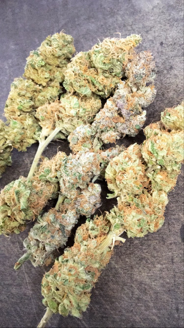 Combo Degustación | Un Poco de Todo | 20 Gramos