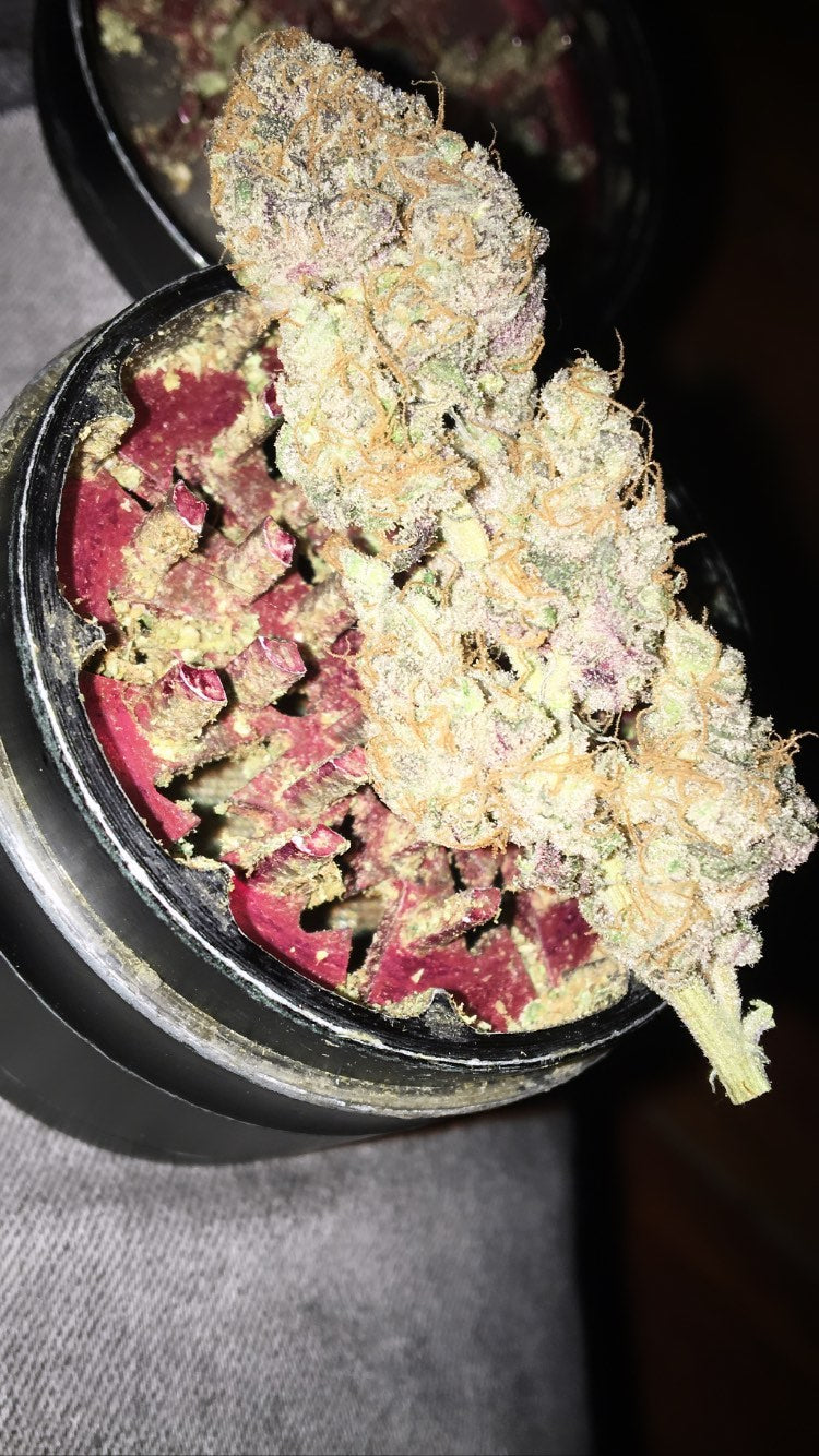 White Widow | Resina en Cantidad