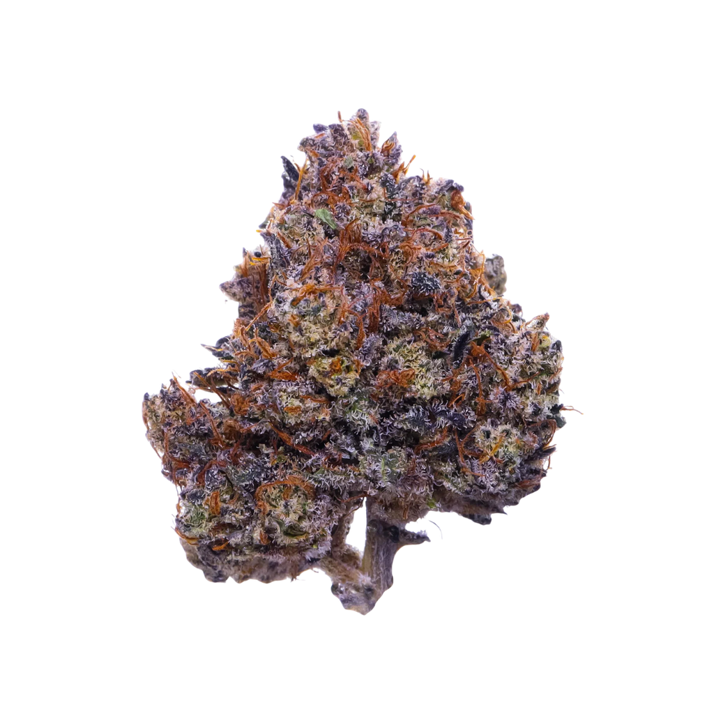 Purple Haze | Púrpura y Novedosa