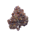 Purple Haze | Púrpura y Novedosa