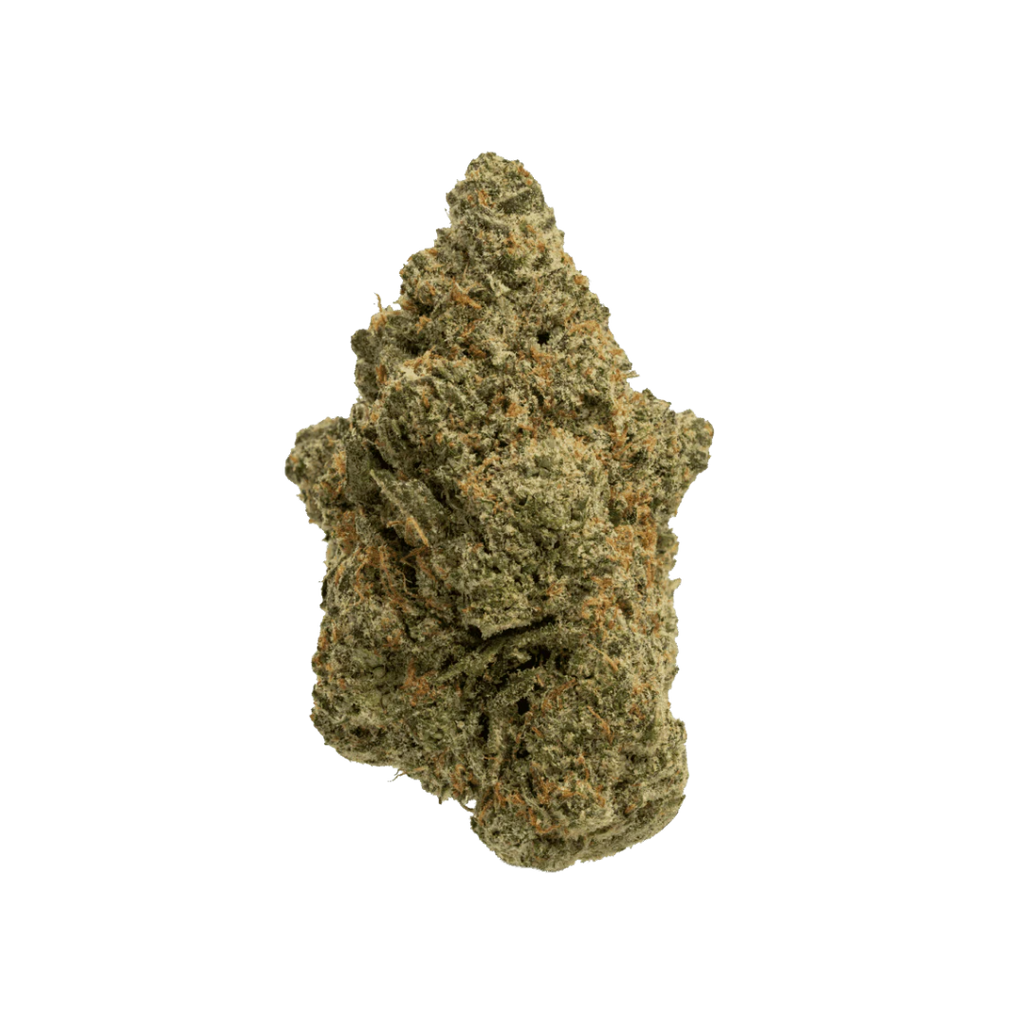 Super Lemon Haze | La Sativa más Buscada