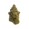 Super Lemon Haze | La Sativa más Buscada